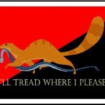A mongoose makes off with a dead snake across the ancom red and black flag "I'll tread where I please"