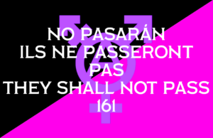 The Black and Pink flag of queer anarchy is set in the background. In the midground is an anarchist circle A, with various gender symbols stemming off. Symbol of venus (female) branching downward, symbol of mars (male) branches up and to the right, upward and leftward branches an arrow with mixed gender icons. In the foreground are the following words: "NO PASARAN - ILS NE PASSERONT PAS - THEY SHALL NOT PASS - 161"